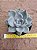 Echeveria Beverly - Imagem 3