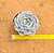 Echeveria runyonii san carlos - Imagem 3