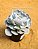 Echeveria runyonii san carlos - Imagem 6