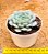 Echeveria Clara - Imagem 3