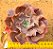 Echeveria Painted purple - Imagem 2