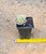 Sedum joyce tulloch variegata - Imagem 4
