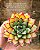 Echeveria mely - Imagem 8