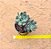 Echeveria savage love - Imagem 5