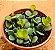 Peperomia Hope - Imagem 2
