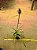 Bromelia - Mini abacaxi ornamental - Imagem 3