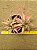 Bromelia Cryptanthus acaulis - Imagem 1