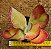 Kalanchoe fantastic - Imagem 1