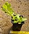 Senecio jacobsenii - Imagem 3