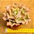 Echeveria curls - Imagem 5