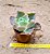 Echeveria curls - Imagem 3