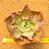 Echeveria curls - Imagem 1