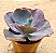 Echeveria chocolate ruffles - Imagem 2