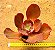 Echeveria chocolate ruffles - Imagem 1