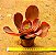Echeveria chocolate ruffles - Imagem 3