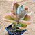 Kalanchoe beharensis fang - "colher-de-pedreiro" - Imagem 1
