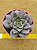 Echeveria punita - Imagem 1