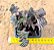 Tradescantia navicularis - Imagem 1