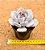 Echeveria asante sana - Imagem 3