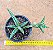 Sansevieria ballyi 'minnie' - Imagem 5