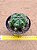 Gymnocalycium multiproliferum - Imagem 1