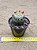 Mammillaria columbiana - Imagem 3
