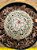 Thelocacatus conothelus v. argenteus - Imagem 2