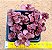 Sedum spurium "voodoo" - Imagem 1