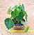 Peperomia polybotrya - raindrops - Imagem 3