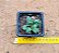 Faucaria bosscheana - Imagem 3
