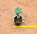 Calandrinia spectabilis shinine pink - Imagem 3