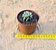 Graptoveria amethorum - Imagem 3