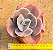 Echeveria joy giants - Imagem 1