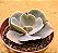 Echeveria joy giants - Imagem 2