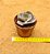Echeveria joy giants - Imagem 4