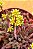 Crassula pubescens - Imagem 6