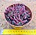 Crassula pubescens - Imagem 2