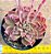 Echeveria mohican - Imagem 1