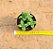 Crassula springtime - Imagem 3