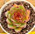 Echeveria moonstone - Imagem 2