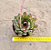 Echeveria puli lindsayana - Imagem 3