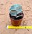 Cotyledon undulata - Imagem 3