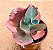 Echeveria gibiflora bumps - Imagem 4