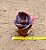 Echeveria gibiflora bumps - Imagem 3