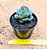 Echeveria meteor shower - Imagem 3