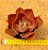 Echeveria gibbiflora big red - Imagem 3