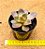 Echeveria poog - Imagem 3