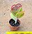 Kalanchoe vivien - Imagem 3