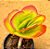 Kalanchoe vivien - Imagem 1