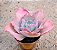 Echeveria gibiflora can can - Imagem 2